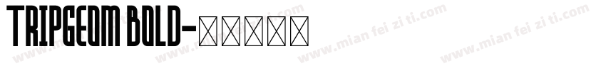 TRIPGEOM BOLD字体转换